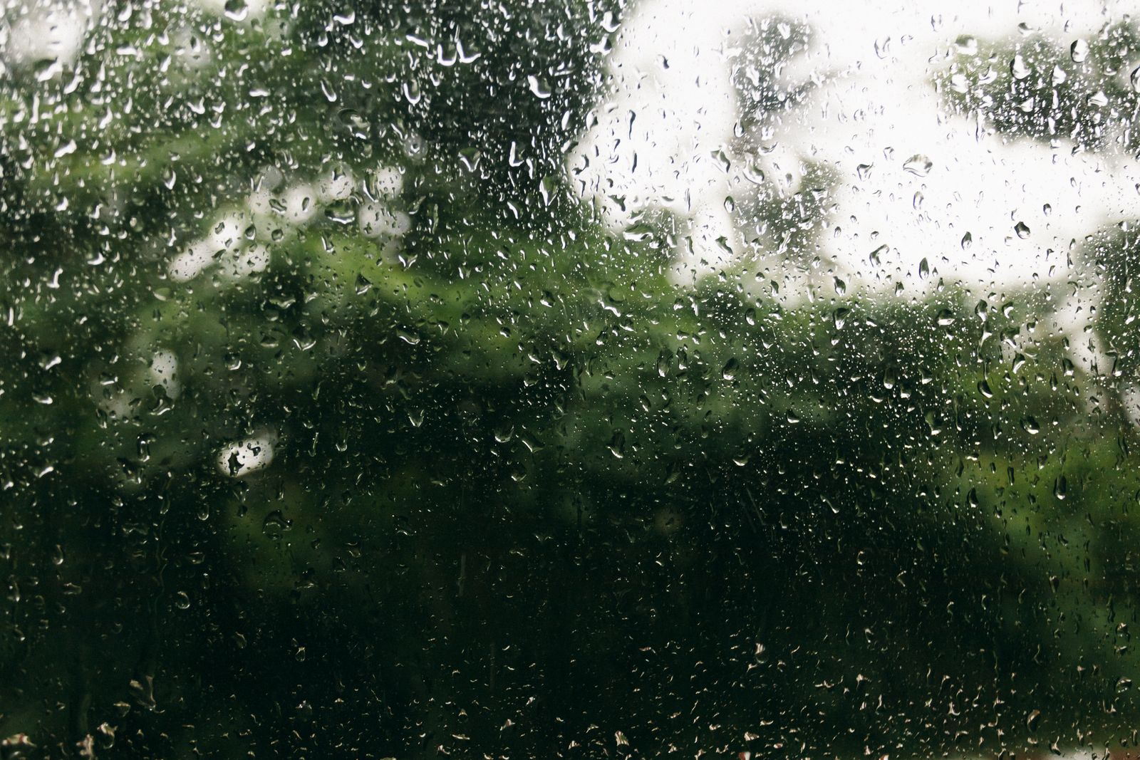 雨滴打在窗上，窗外是绿意盎然的森林
